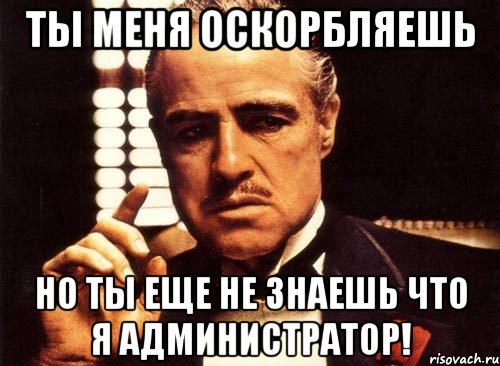 Ты меня оскорбляешь Но ты еще не знаешь что я администратор!, Мем крестный отец