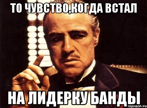 То чувство,когда встал на лидерку банды, Мем крестный отец