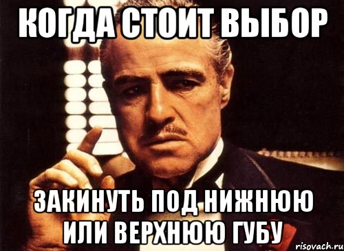 Когда стоит выбор закинуть под нижнюю или верхнюю губу, Мем крестный отец