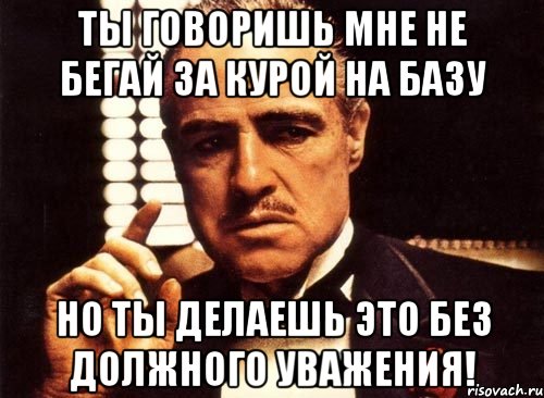 Ты говоришь мне не бегай за курой на базу Но ты делаешь это без должного уважения!, Мем крестный отец