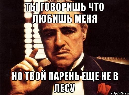 ты говоришь что любишь меня но твой парень еще не в лесу, Мем крестный отец