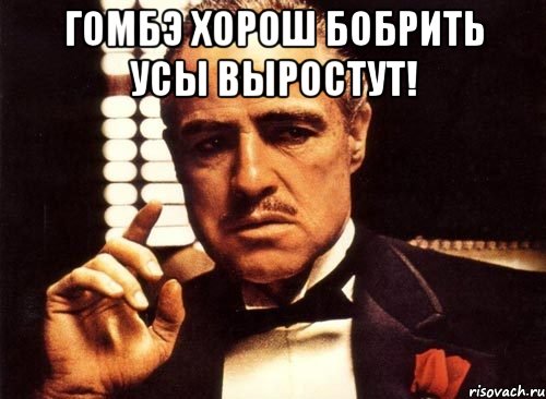 Гомбэ хорош бобрить усы выростут! , Мем крестный отец