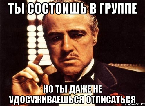 ТЫ состоишь в группе Но ты даже не удосуживаешься отписаться, Мем крестный отец