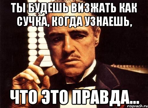 Ты будешь визжать как сучка, когда узнаешь, Что это правда..., Мем крестный отец