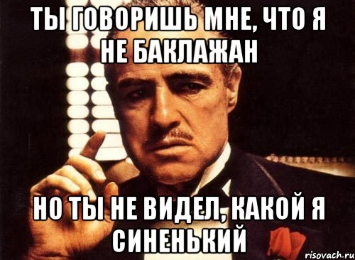 ты говоришь мне, что я не баклажан но ты не видел, какой я синенький, Мем крестный отец