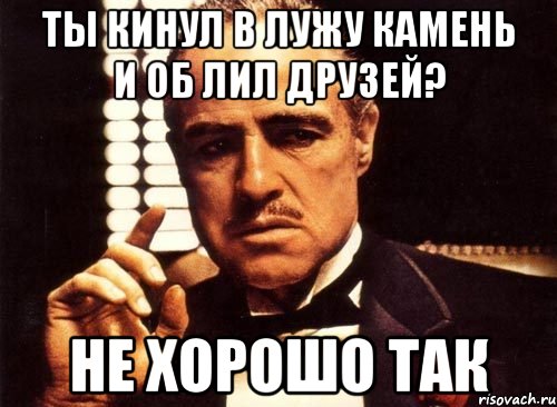 Ты кинул в лужу камень и об лил друзей? Не хорошо так, Мем крестный отец