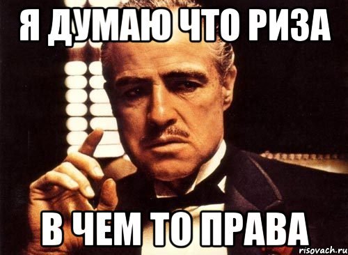 Я ДУМАЮ ЧТО РИЗА В ЧЕМ ТО ПРАВА, Мем крестный отец