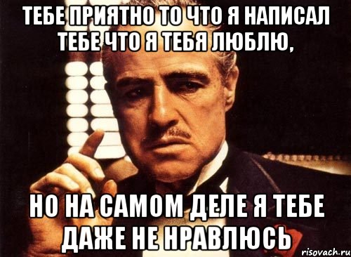 Тебе приятно то что я написал тебе что я тебя люблю, Но на самом деле я тебе даже не нравлюсь, Мем крестный отец