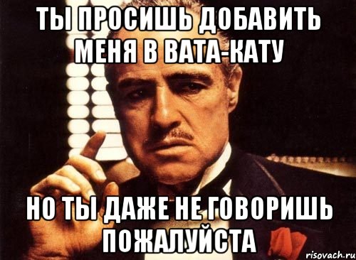 Ты просишь добавить меня в вата-кату Но ты даже не говоришь пожалуйста, Мем крестный отец