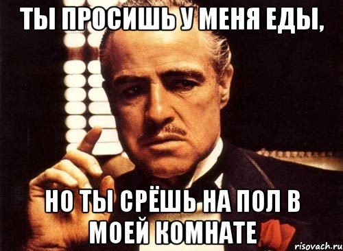 Ты просишь у меня еды, но ты срёшь на пол в моей комнате, Мем крестный отец