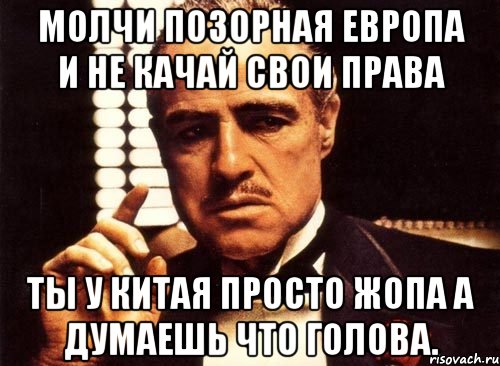 молчи позорная Европа и не качай свои права ты у Китая просто жопа а думаешь что голова., Мем крестный отец