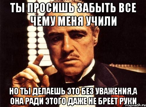 Ты просишь забыть все чему меня учили Но ты делаешь это без уважения,а она ради этого даже не бреет руки, Мем крестный отец