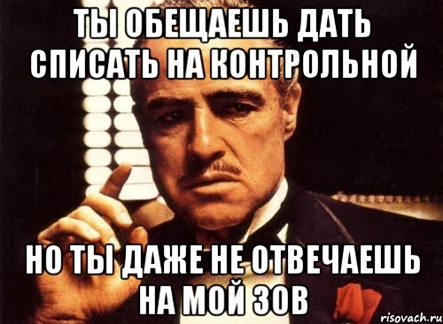 Ты обещаешь дать списать на контрольной Но ты даже не отвечаешь на мой зов, Мем крестный отец