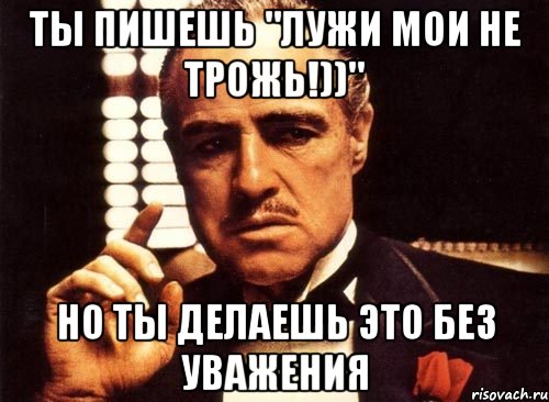 Ты пишешь "лужи мои не трожь!))" но ты делаешь это без уважения, Мем крестный отец