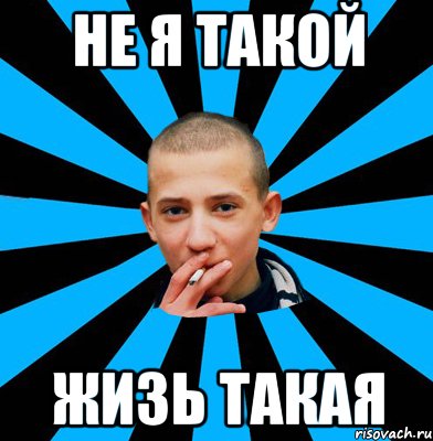 Не я такой Жизь такая