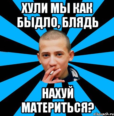 Хули мы как быдло, блядь Нахуй материться?