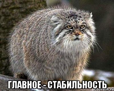  Главное - стабильность