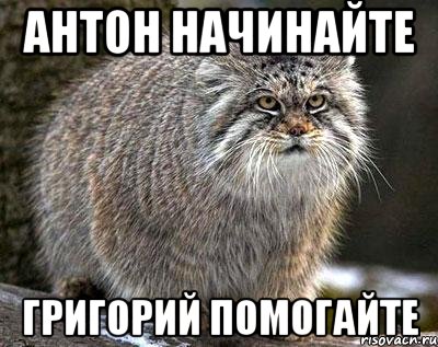 Антон начинайте Григорий помогайте