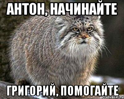 Антон, начинайте Григорий, помогайте