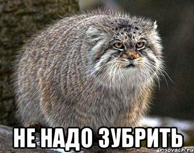 Не надо зубрить