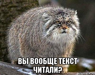  Вы вообще текст читали?