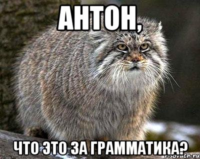 Антон, Что это за грамматика?