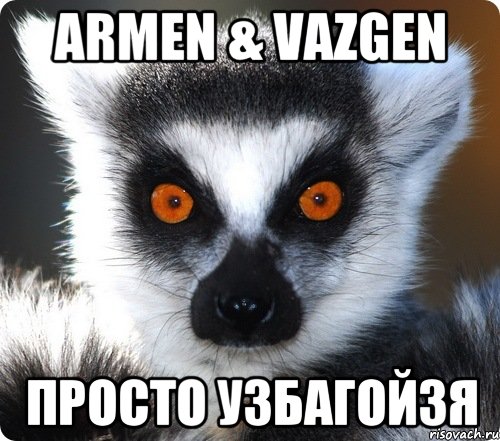 Armen & Vazgen Просто УЗБАГОЙЗЯ, Мем лемур