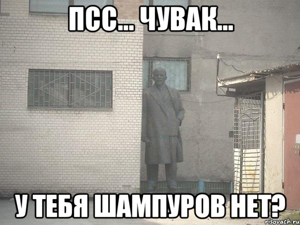 Псс... Чувак... У тебя шампуров нет?, Мем  Ленин за углом (пс, парень)