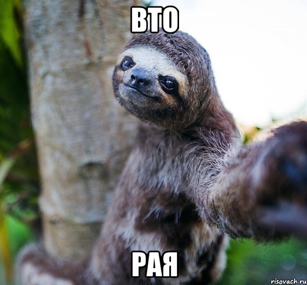 вто рая
