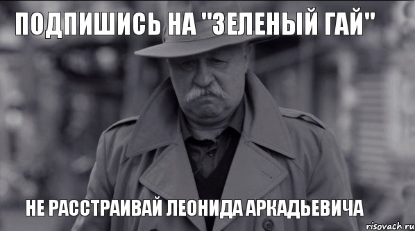 Подпишись на "Зеленый гай" не расстраивай Леонида Аркадьевича, Мем Леонид Аркадьевич