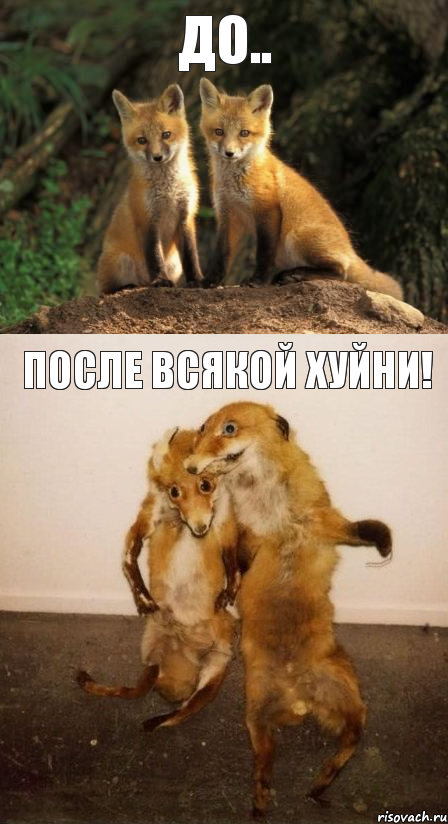 До.. После всякой хуйни!, Комикс Лисицы