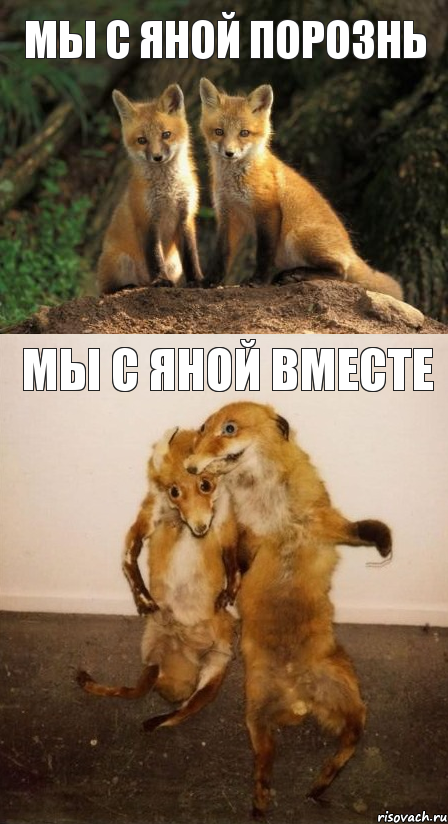 мы с Яной порознь мы с Яной вместе, Комикс Лисицы