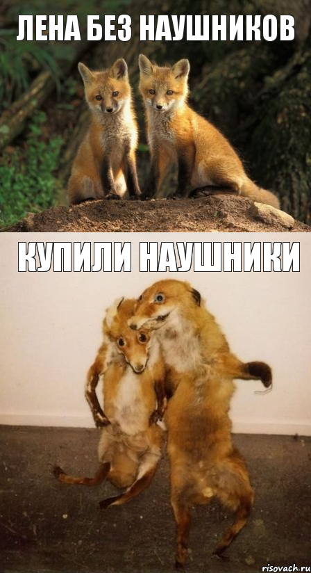 лена без наушников купили наушники, Комикс Лисицы