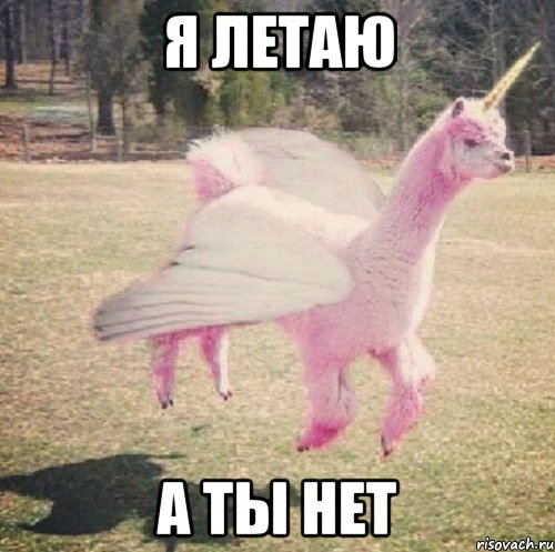 Я летаю А ты нет, Мем Llama