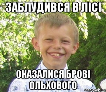 Заблудився в лiсi Оказалися бровi ольхового