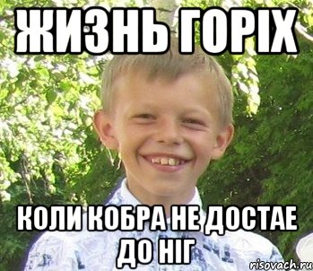 Жизнь горiх Коли кобра не достае до нiг