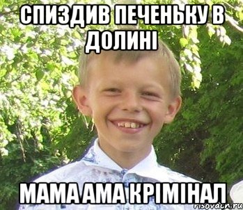 Спиздив печеньку в долинi Мама ама крiмiнал
