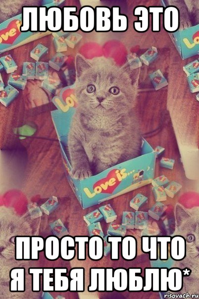 Любовь это Просто то что я тебя ЛЮБЛЮ*, Мем лов ис