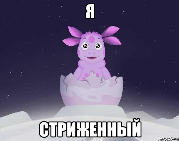 я стриженный