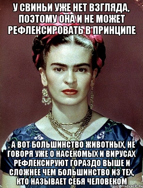 У свиньи уже нет взгляда, поэтому она и не может рефлексировать в принципе , а вот большинство животных, не говоря уже о насекомых и вирусах рефлексируют гораздо выше и сложнее чем большинство из тех, кто называет себя человеком, Мем Magdalena Carmen Frieda Kahlo Ca