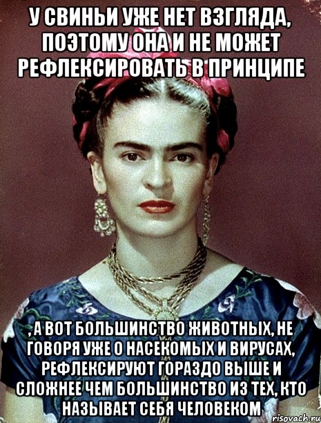 У свиньи уже нет взгляда, поэтому она и не может рефлексировать в принципе , а вот большинство животных, не говоря уже о насекомых и вирусах, рефлексируют гораздо выше и сложнее чем большинство из тех, кто называет себя человеком, Мем Magdalena Carmen Frieda Kahlo Ca