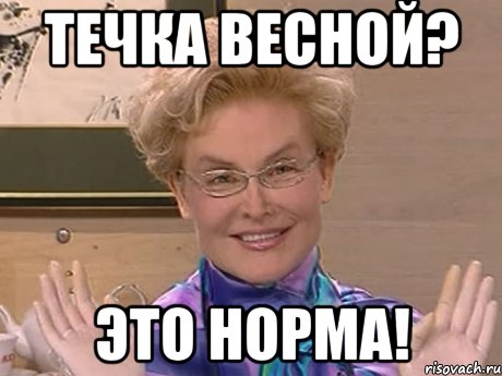 ТЕЧКА ВЕСНОЙ? ЭТО НОРМА!, Мем Елена Малышева