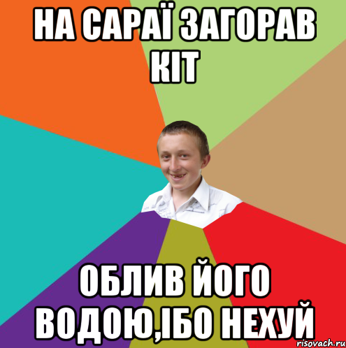 На сараї загорав кіт Облив його водою,ібо нехуй, Мем  малый паца