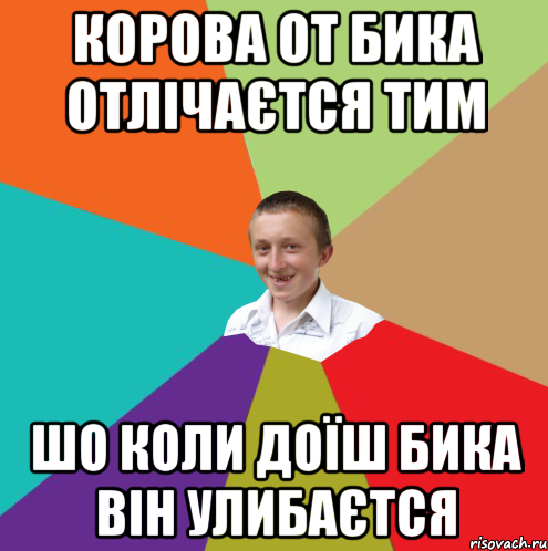 КОРОВА ОТ БИКА ОТЛІЧАЄТСЯ ТИМ ШО КОЛИ ДОЇШ БИКА ВІН УЛИБАЄТСЯ