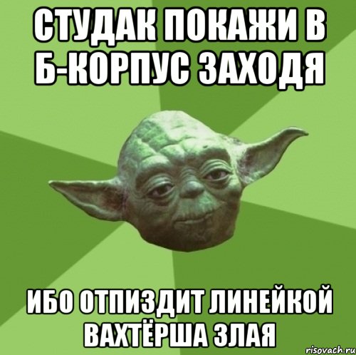 Студак покажи в Б-корпус заходя ибо отпиздит линейкой вахтёрша злая, Мем Мастер Йода