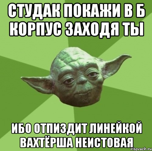 Студак покажи в Б корпус заходя ты ибо отпиздит линейкой вахтёрша неистовая, Мем Мастер Йода