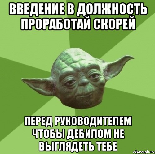 Введение в должность проработай скорей Перед руководителем чтобы дебилом не выглядеть тебе, Мем Мастер Йода