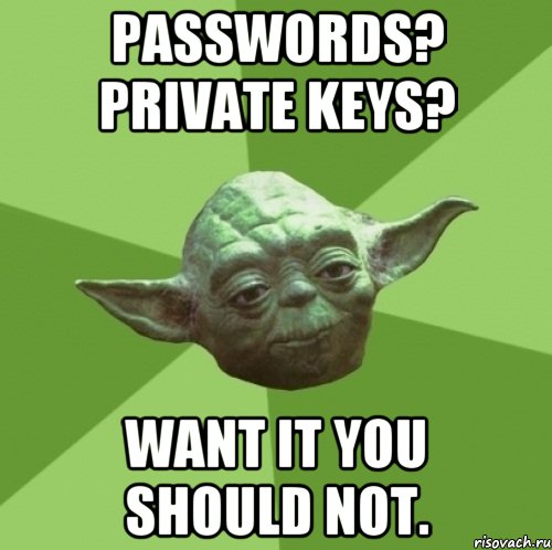 Passwords? Private keys? Want it you should not., Мем Мастер Йода