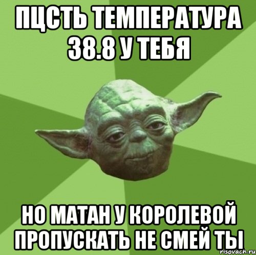 пцсть температура 38.8 у тебя но матан у Королевой пропускать не смей ты, Мем Мастер Йода