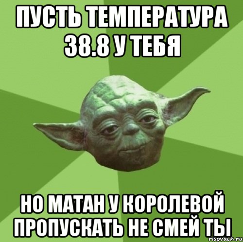 пусть температура 38.8 у тебя но матан у Королевой пропускать не смей ты, Мем Мастер Йода
